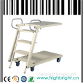 Supermarket Platform Step Ladder Truck Cart